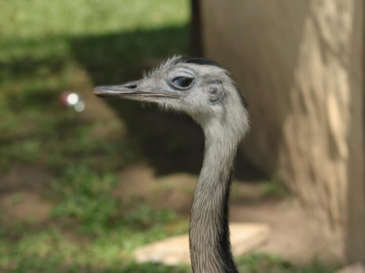Zoo de Dortmund